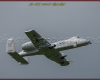 1GLOVELIER 0459